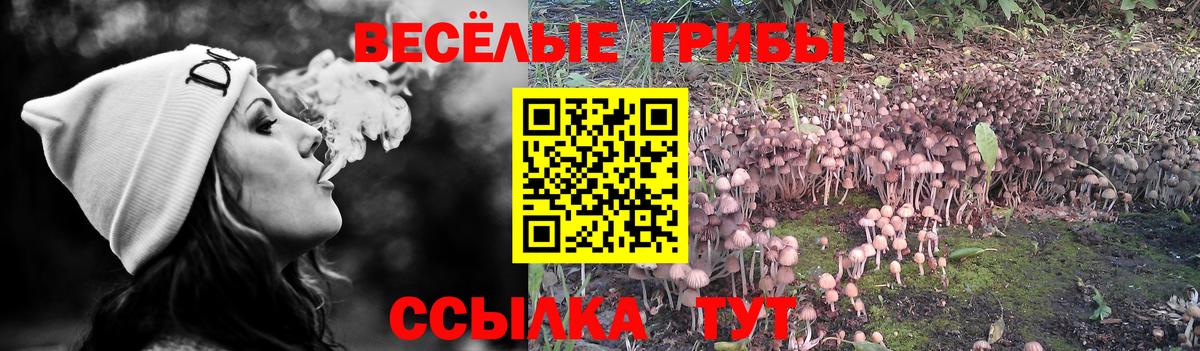 Псилоцибиновые грибы ЛСД Соль-Илецк