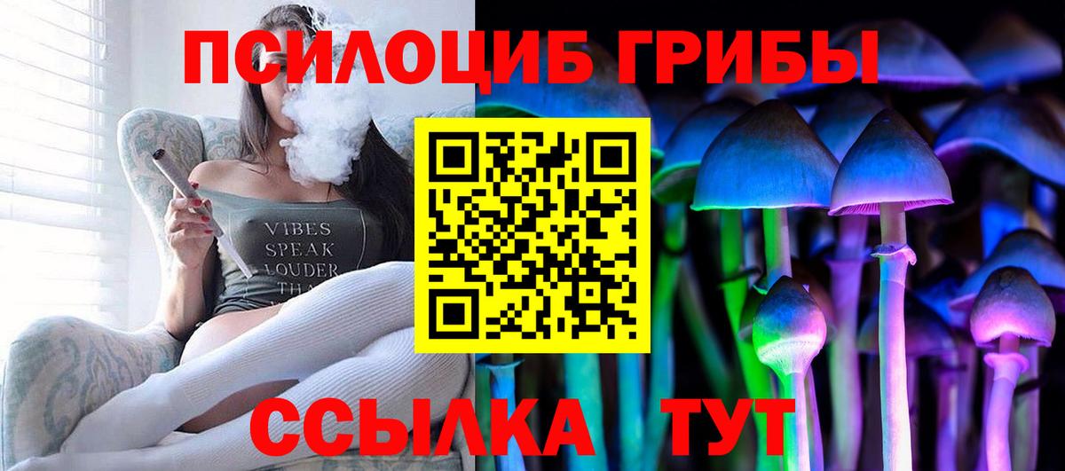 Галлюциногенные грибы MAGIC MUSHROOMS  Вход с VPN  Соль-Илецк  Галлюциногенные грибы GOLDEN TEACHER 